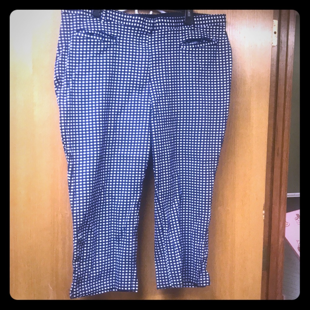 Blue/White Capri Pants